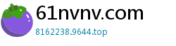 61nvnv.com